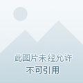 博德大世界
